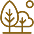 sqm