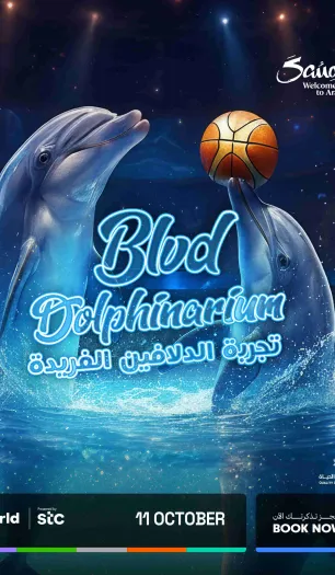 BLVD Dolphinarium